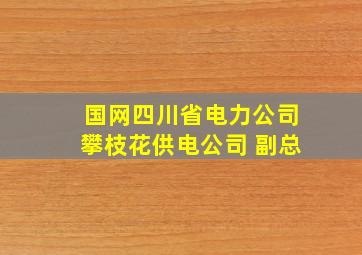 国网四川省电力公司攀枝花供电公司 副总